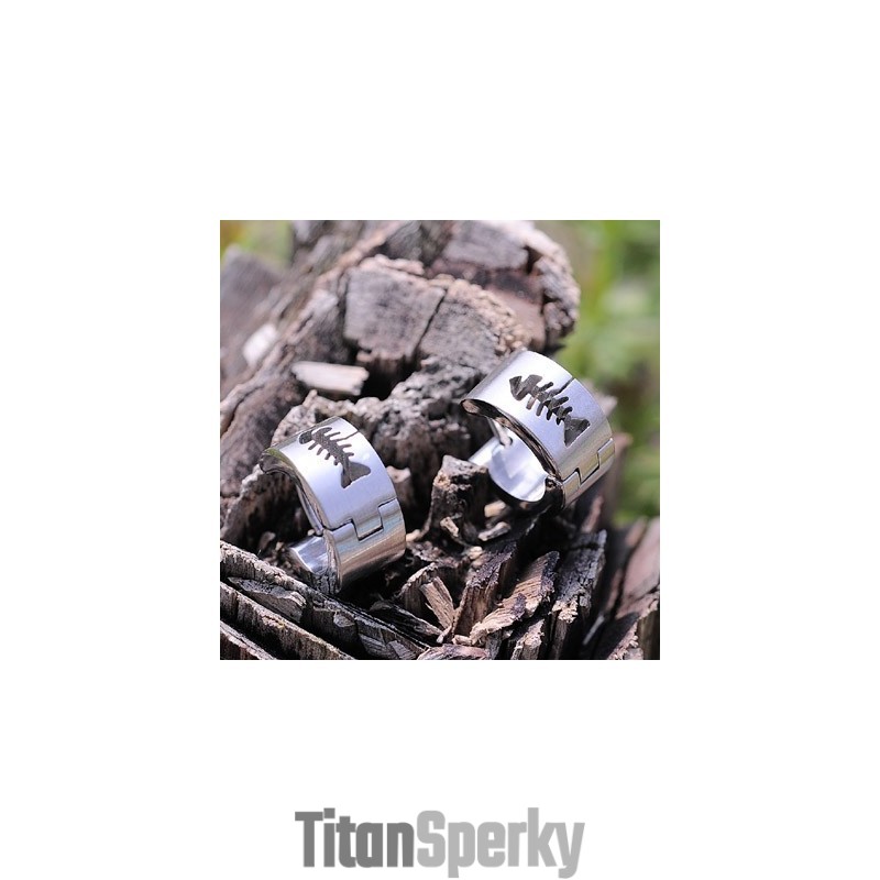 Pánské Titanové Náušnice Pánské Titanové Náušnice