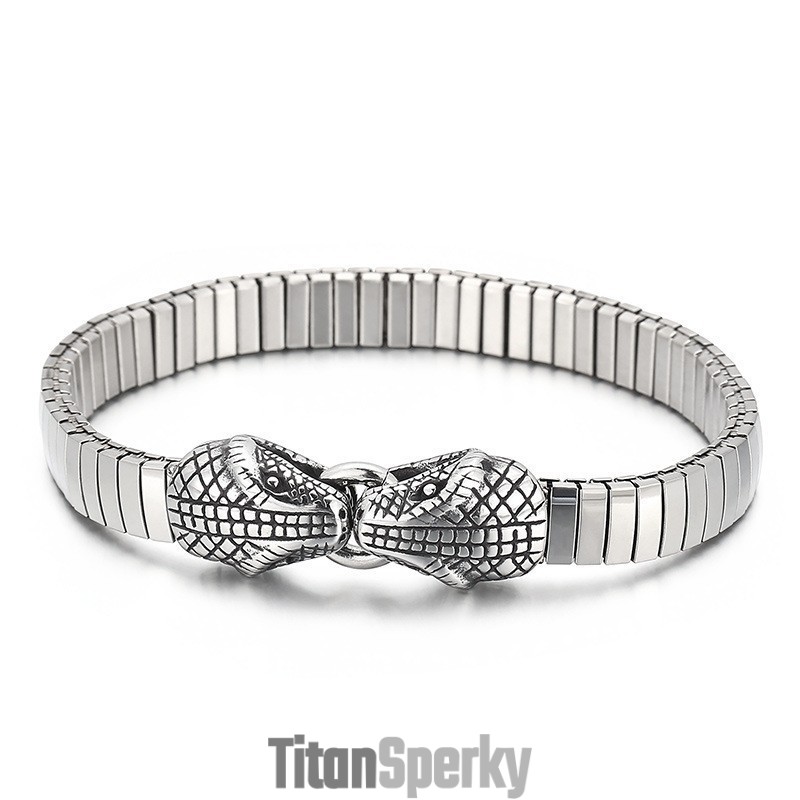 Pánský Titanový Náramek S Dvojitou Hadí Hlavou V Elegantním Stylu