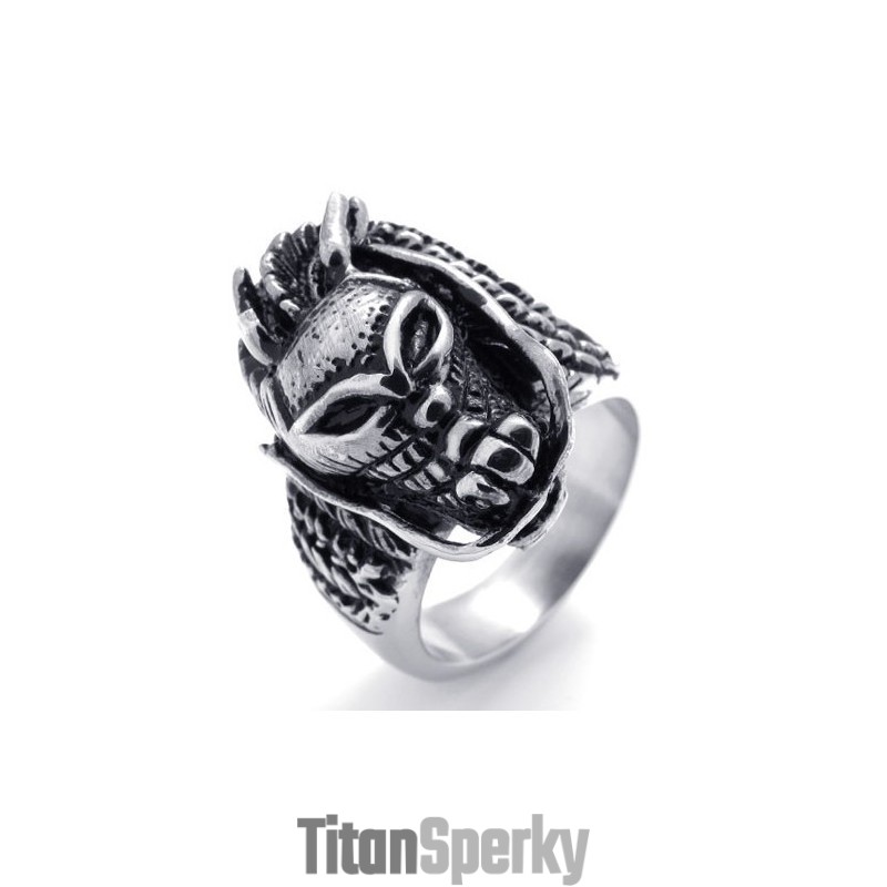 Titanový Prsten S Lebkou