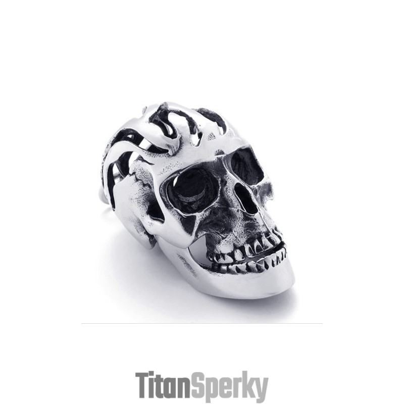 Titanový Přívěsek S Lebkou