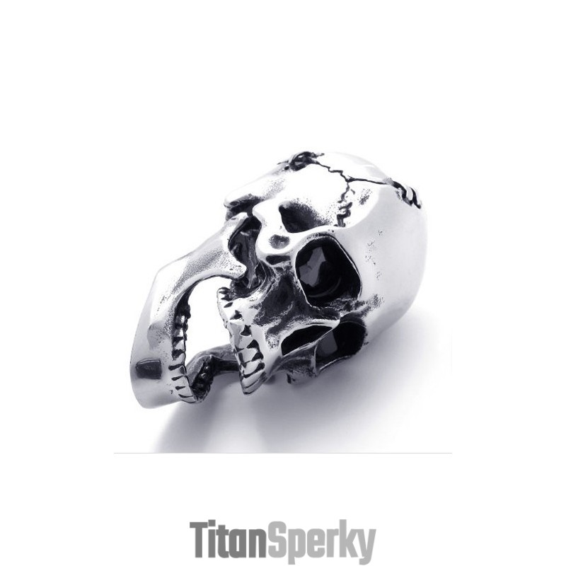 Titanový Přívěsek S Lebkou Titanový Přívěsek S Lebkou